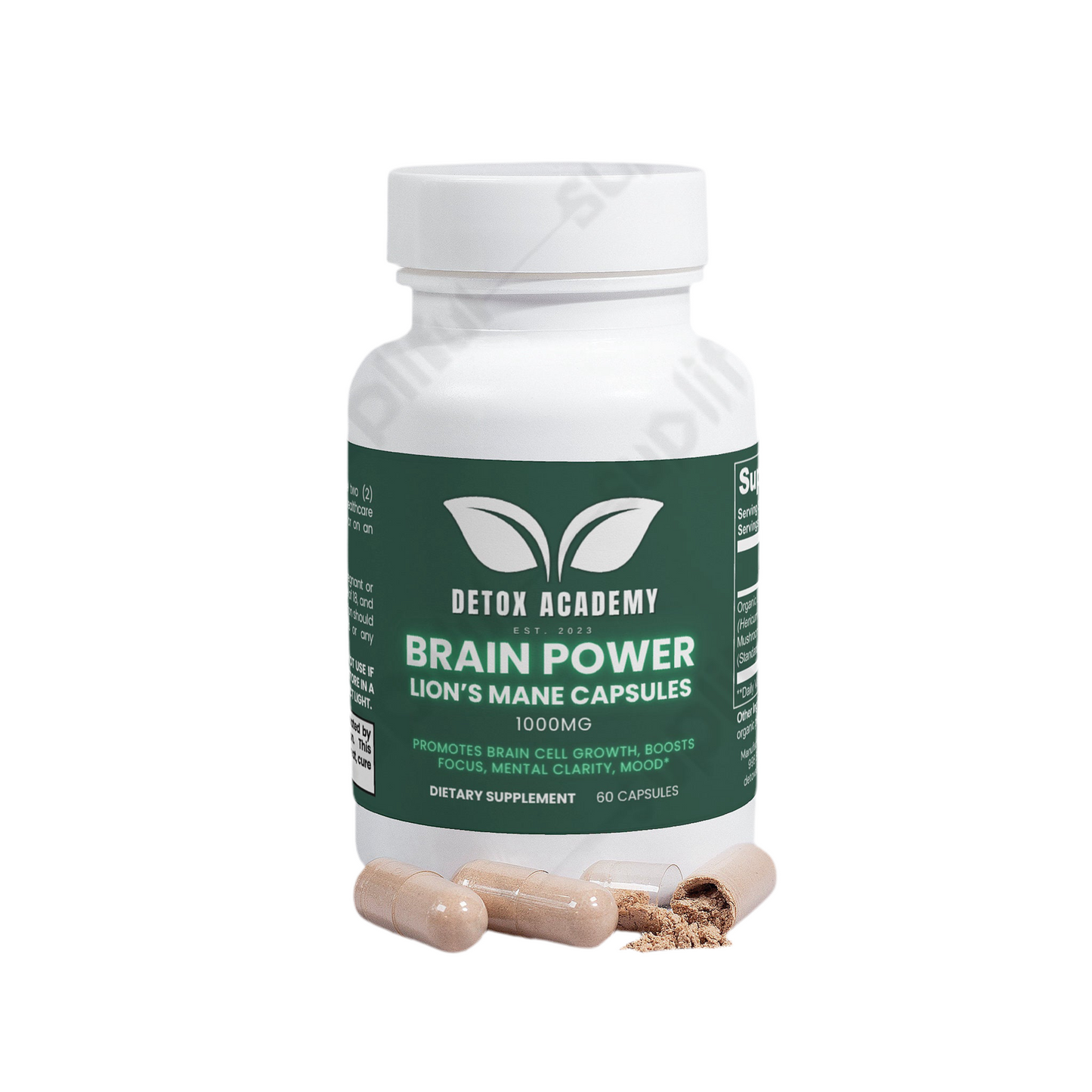 Brain Power Capsules - Lion's Mane