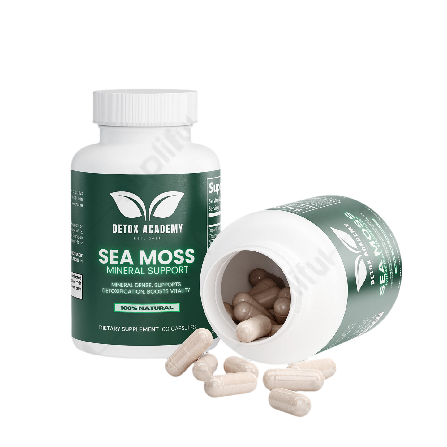 Sea Moss Mineral Support